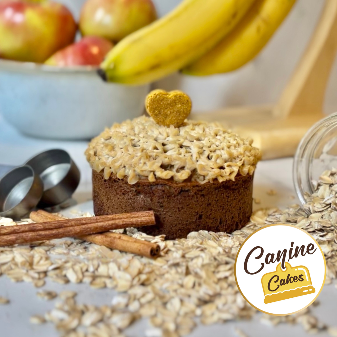 Canine Cakes - Pawfect Peanut Butter Cake Kit